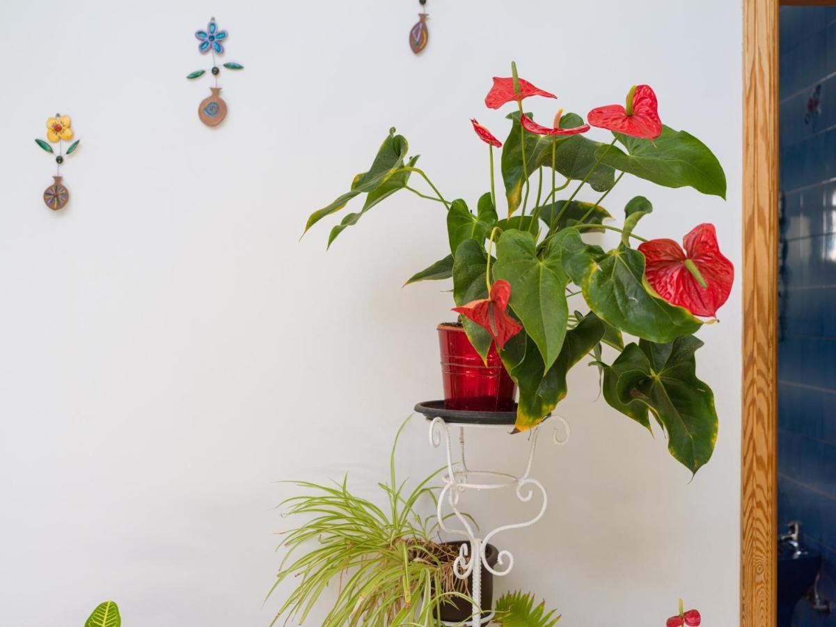 Agaete Pupe Home By Canariasgetaway מראה חיצוני תמונה